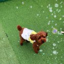 멍더가든 이미지