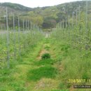 엔비(Envy) 이미지