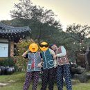 영희네주방 | [스페셜 포토덤프] 14 양평 아그니 초시매 한옥스테이 (촌캉스 영희네 후기)