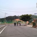 금남 다목적체육관 티스토리