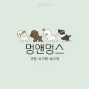 멍스 | 멍앤멍스 직접 다녀온 솔직 후기