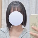 의정부 민락동 그냥미용실 내돈내산 대만족 후기 (애견 동반)