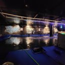 나까보까 실내낚시터 이미지