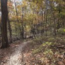 11월23일욜 마지막단풍 우이령 &amp; 둘레길 밤골(예약) 이미지