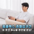 펌플렉스 레벨업쿠션 170: 취미 생활의 몰입도를 높여주는 게이밍 & 독서 인생 쿠션 사용기