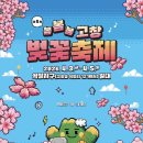 제4회 세계안무축제 | 2026년 고창 벚꽃축제 총정리, 축제 200% 즐기는 Tip까지 (4월 1일 후기)