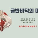 [ 마름모코어 시즌 2-54 ] 바른 정렬 위치에서 골반 바닥의 좌우를 맞춰 신체 불균형 교정하기 이미지