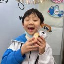 늘푸른피아노학원 이미지