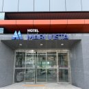 마리애견 | 속초 가성비숙소 1박 48000원에 묵은 후기 (애견동반 가능 호텔) - 마리비스타호텔