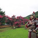 붉은 배롱나무 아래 스민 단심(丹心) 이미지