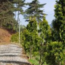 다솔민박 이미지