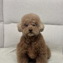 망미1-213 이미지