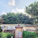 메종드롸루코 | 제주 동쪽 감성숙소 메종드롸루코 정원 예쁜 독채펜션