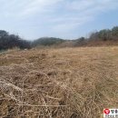 별뫼농장 이미지