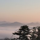 천비농장 이미지