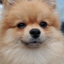 베테랑P&K 이미지