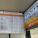 (버스)평택터미널 티스토리