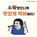 란두리 덕동마을 이미지