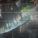 골프장둘레길 이미지