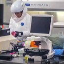 프레비스 이미지