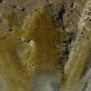 선두4리항 어판장 이미지