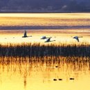 용석1리마을회관 이미지