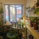 집안 분위기 살리는 화초기르기 | [전포동핫플소품샵] 전포동 속 동화감성 데이트코스추천💖 "페이크가든"전포동 반려식물 오브제 가득한곳🌷🪴🪻