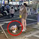 [영상] 제주 길거리서 아이 대변을…"중국인 엄마, 지적에도 무시" 이미지