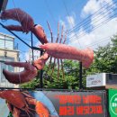 빠리바닷가재 이미지