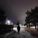 2024년 갑진년 해맞이행사 | 2024년 울산 동구 대왕암 해돋이 명소 해맞이 행사(갑진년 푸른 용의 해🐲💙) 후기