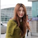 타이거수지