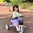 메종드엘라 이미지