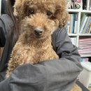 육칠이검단