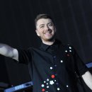 STAY PET SHOP 이미지