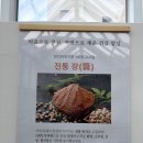 엄지마을 | 가평우리마을 티하우스 후기｜자연 속에서 즐기는 가평 힐링카페