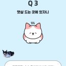 나의 반짝 그루밍 이미지
