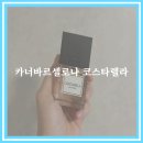 향기렐라 | 조보이 인기 여자여름향수 카너바르셀로나 코스타렐라