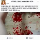 혐주의) 맘아픔주의) 전국수간협회 ^일부^한남들 이미지