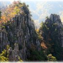 양평농장 이미지