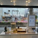 경안셀프 | 경안동샐러드 온히어 온샐러드&amp;포케 광주 경안점 포케맛집