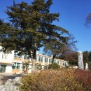 용안초등학교 이미지