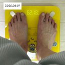 몸바꿈 | 마운자로 5mg 가격 한달 후기 30일차 기록 -9.73kg 병원 바꿈
