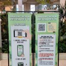 스타애견 이미지