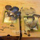 모아커피간