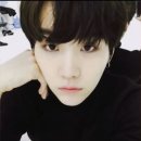 슈가 티스토리