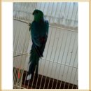 미성광택 이미지