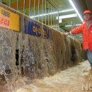 정발산역 이미지