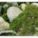 기와집숯불고기 이미지