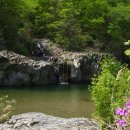 송이용소 이미지