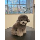 댕스베리 이미지